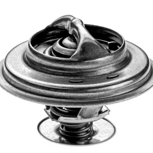 Termostat, płyn chłodzący DENSO DTM79274 Super okazja