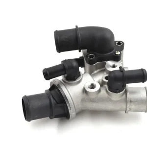 Termostat, płyn chłodzący DENSO DTM80781 Taniej