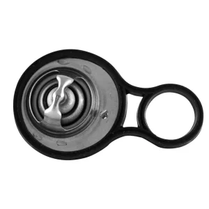 Termostat, płyn chłodzący DENSO DTM91718 Ostatnia szansa