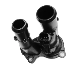 Termostat, płyn chłodzący DENSO DTM98619 Bezpieczna płatność