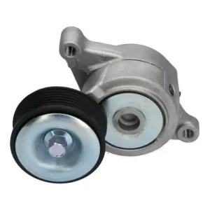Rolka napinacza, pasek klinowy wielorowkowy KAVO PARTS DTP-4536 Szybka wysyłka