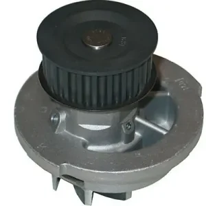 Pompa wody, chłodzenie silnika KAVO PARTS DW-1008 Wyjątkowa oferta