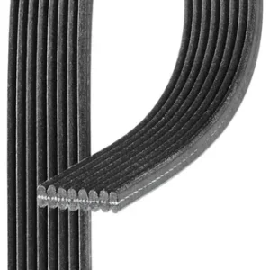 Oferta Pasek klinowy wielorowkowy GATES 8DPK1445