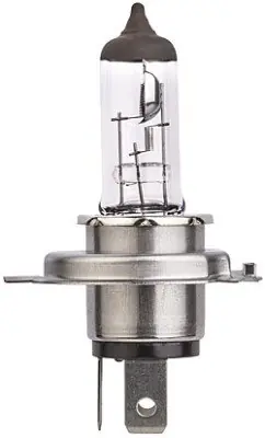 Zamów dziś ŻARÓWKA HB2 60/55W 12V