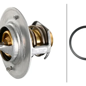 TERMOSTAT Zamów teraz