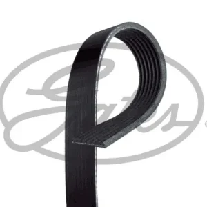 Zamów teraz Pasek wielorowkowy GATES 7PK1705