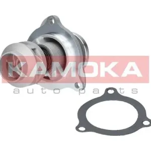 Dostępne od ręki POMPA WODY FORD FIESTA V 01-08, KA 96-08