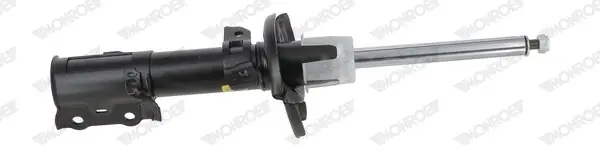 Wybór klientów AMORTYZATOR FORD  PP